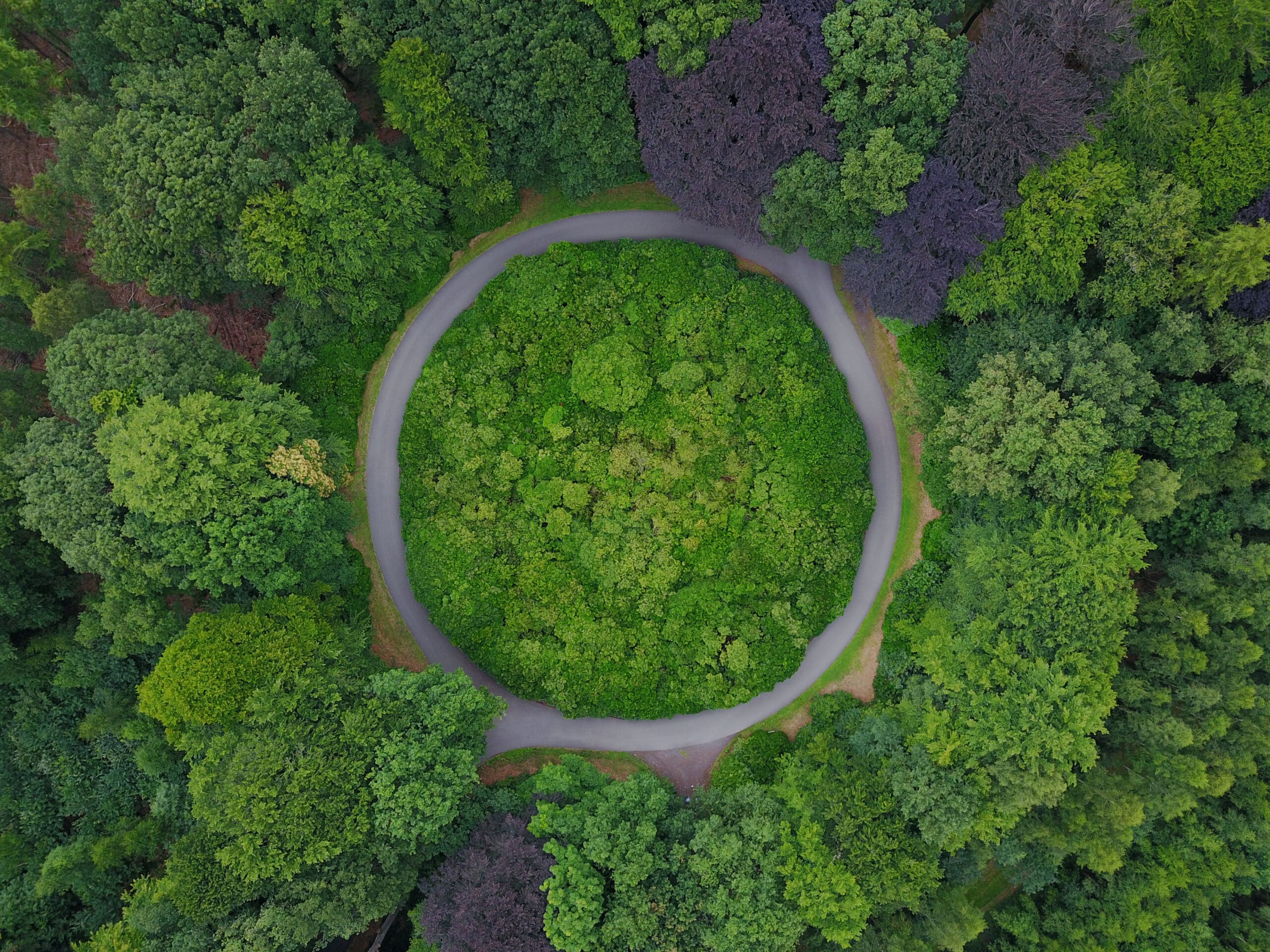 Green forest in a circular shape