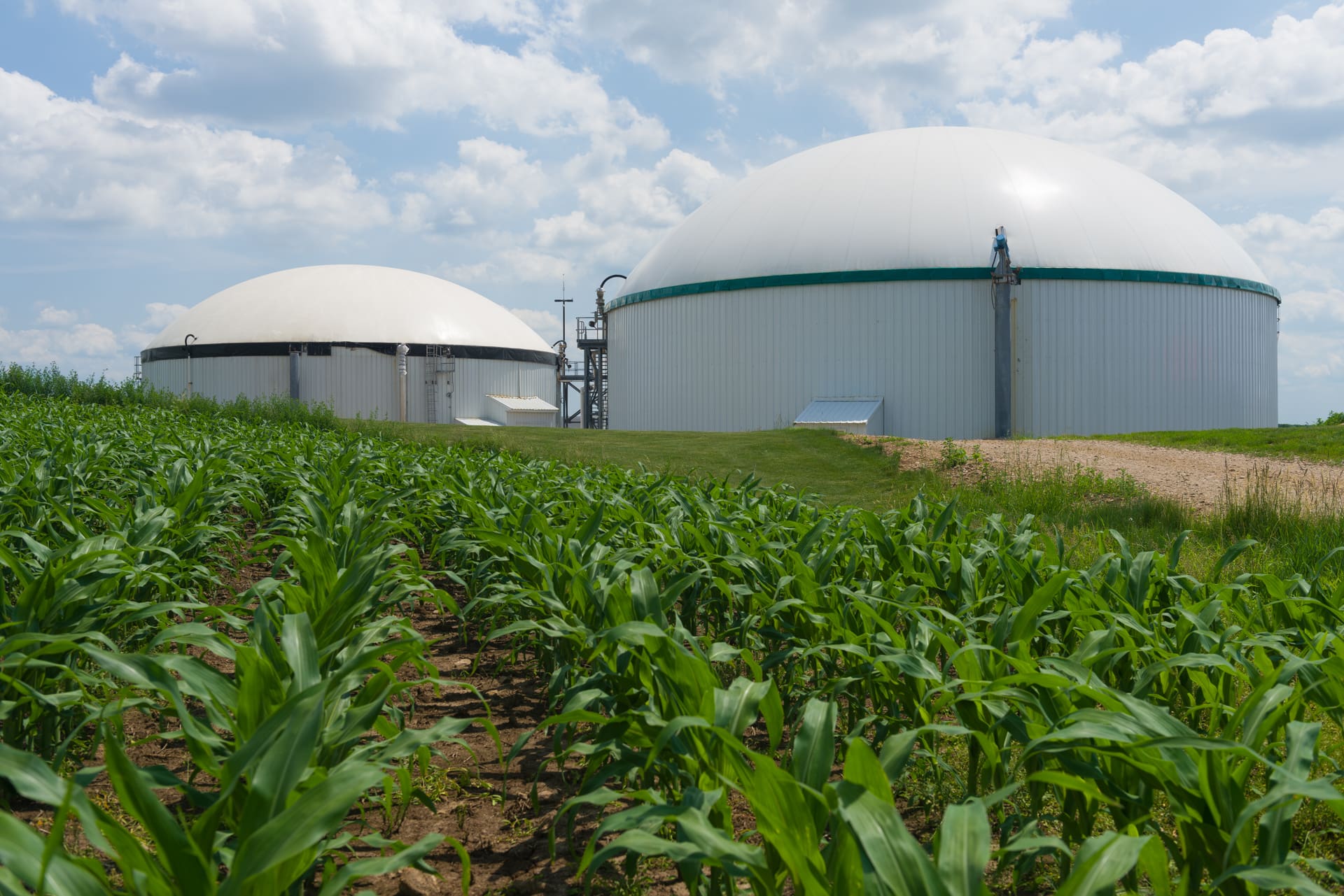 Digesters