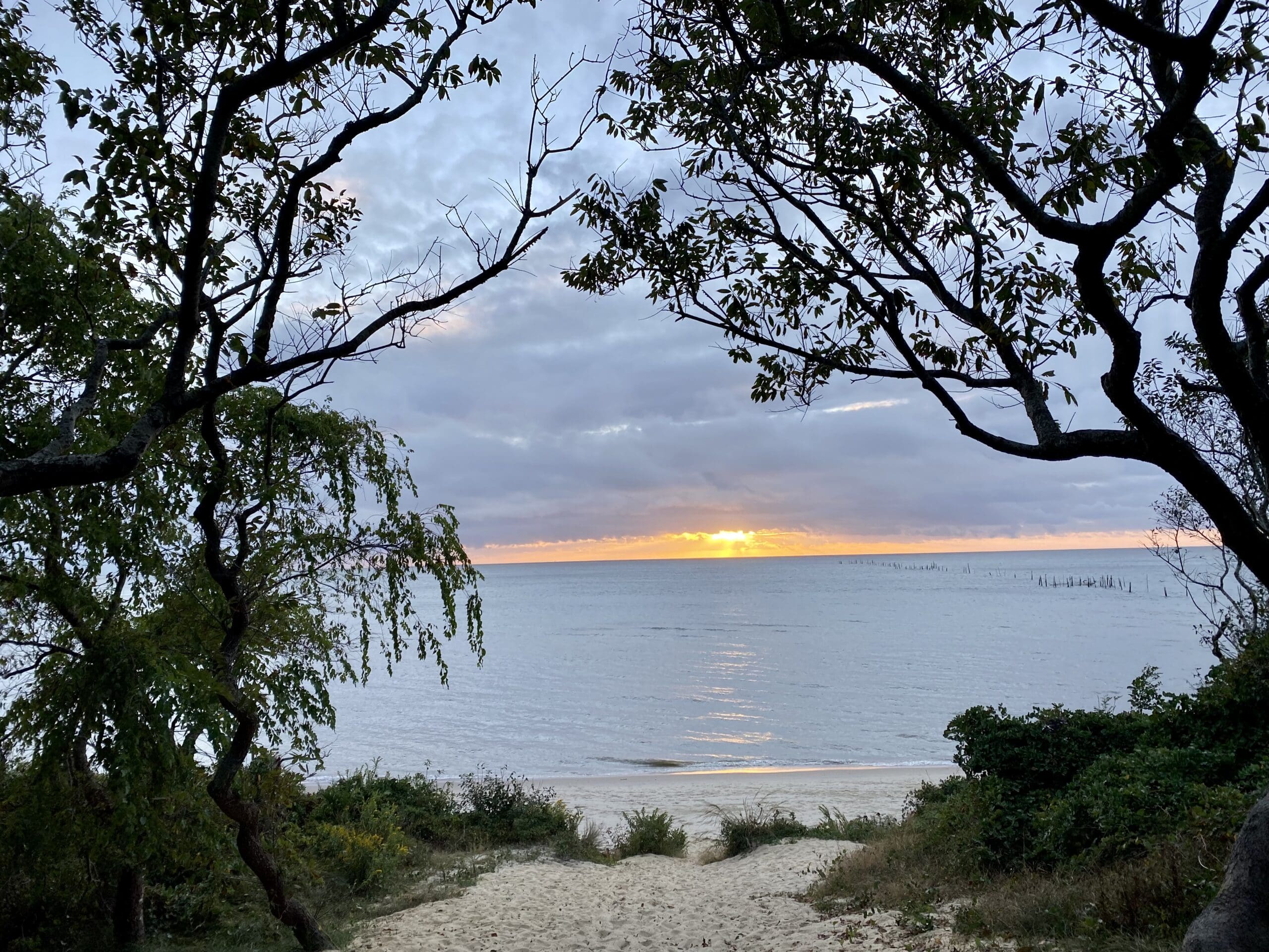 Beach at sunset