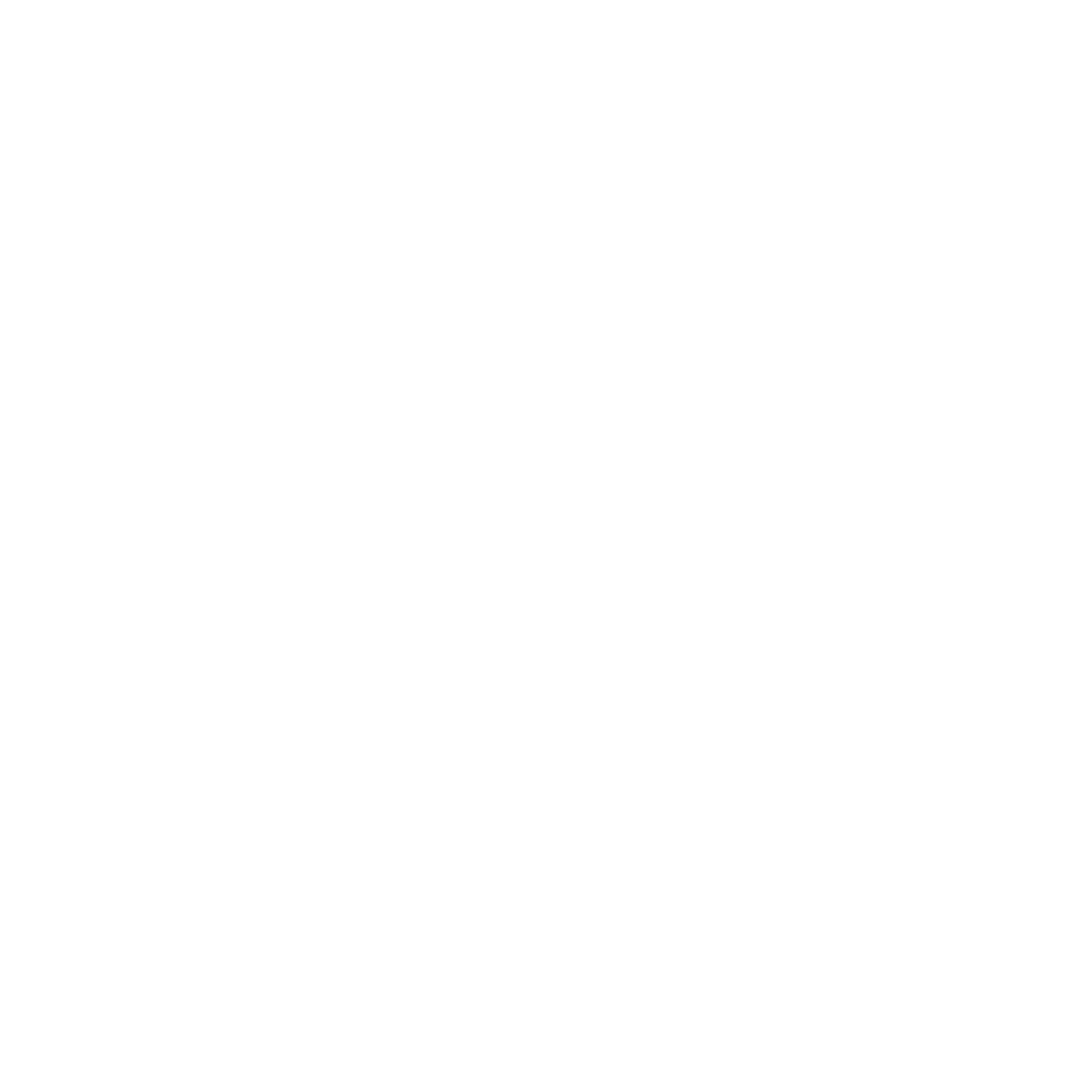 Checklist icon