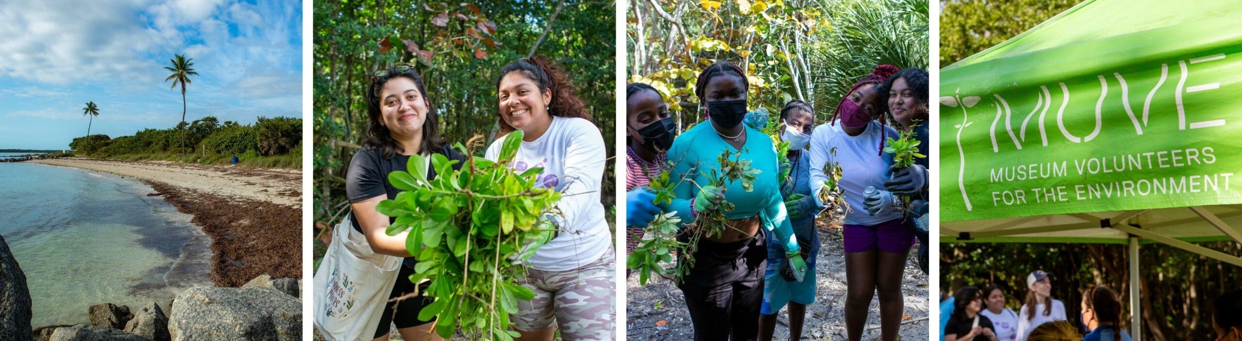 Museum Volunteers for the Environment cleanup