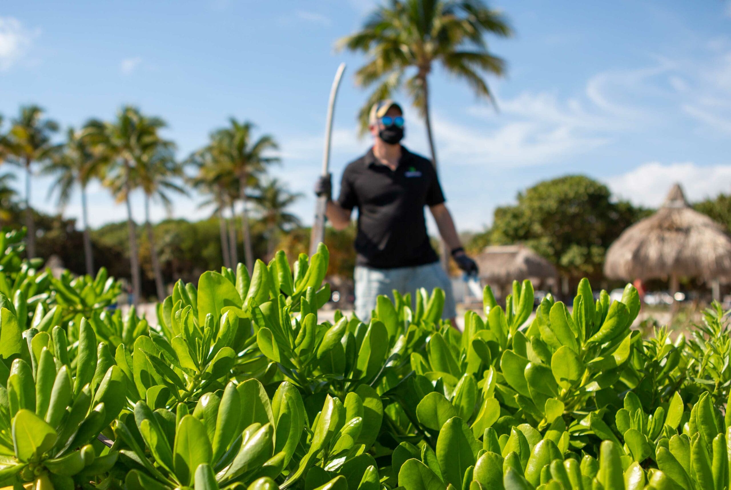 Man with Face Mask on Beach Behind Green Leaves