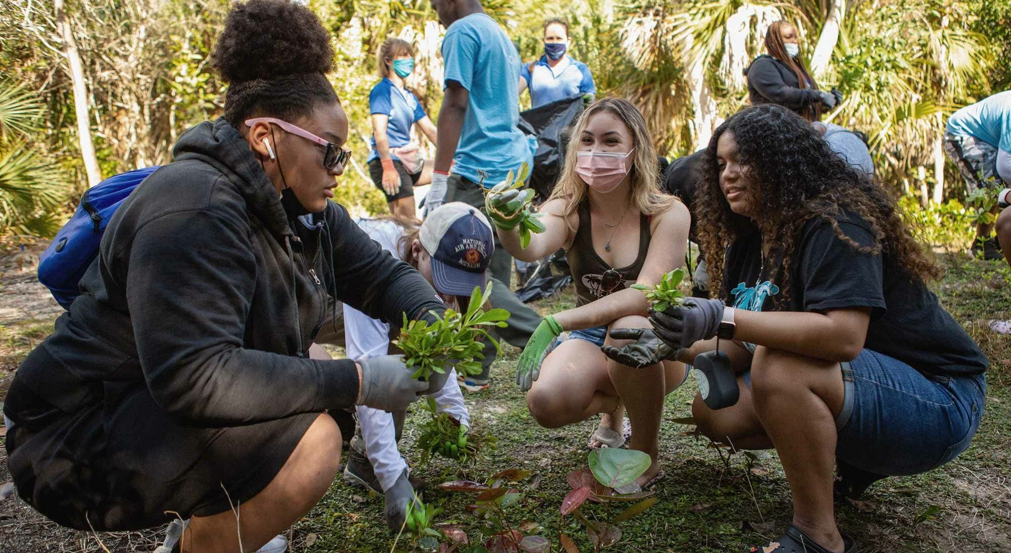 Three women pulling weeds