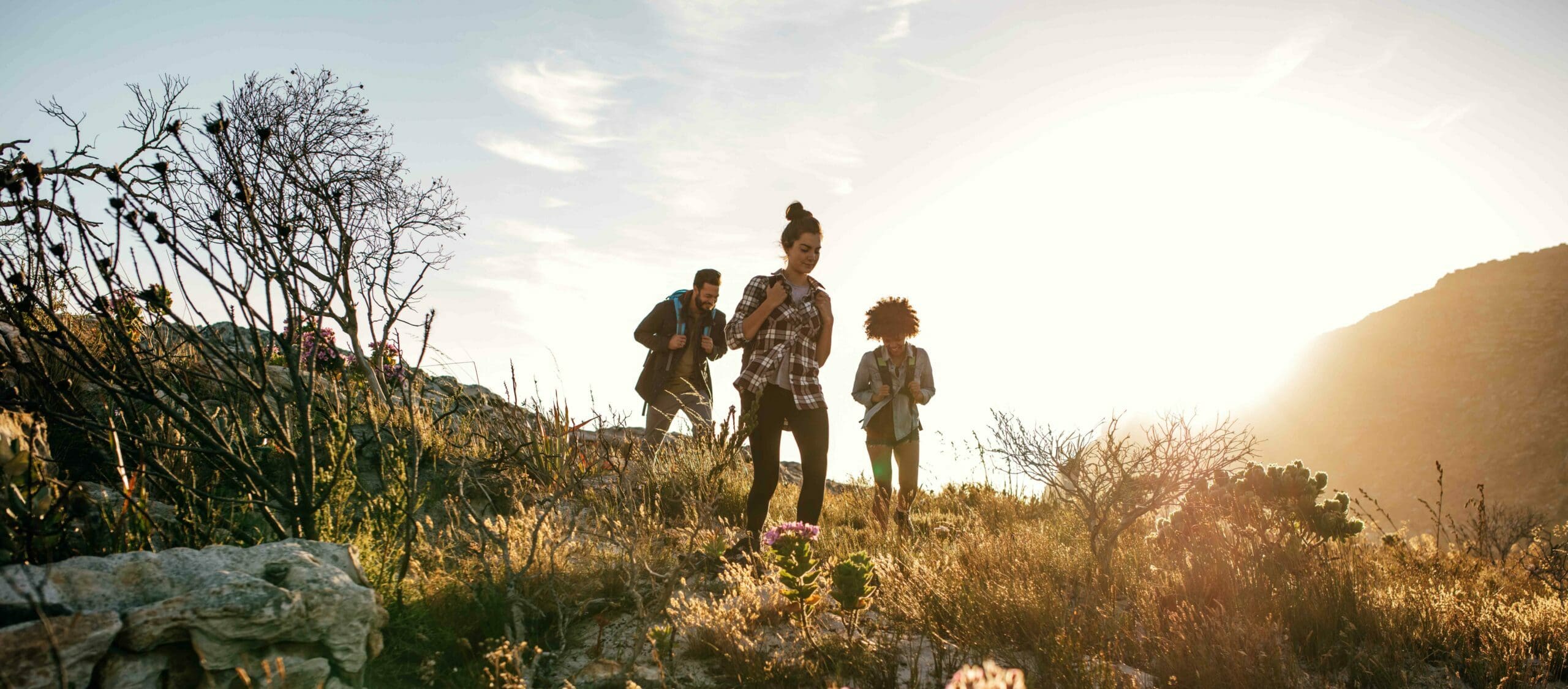 People hiking down a hill