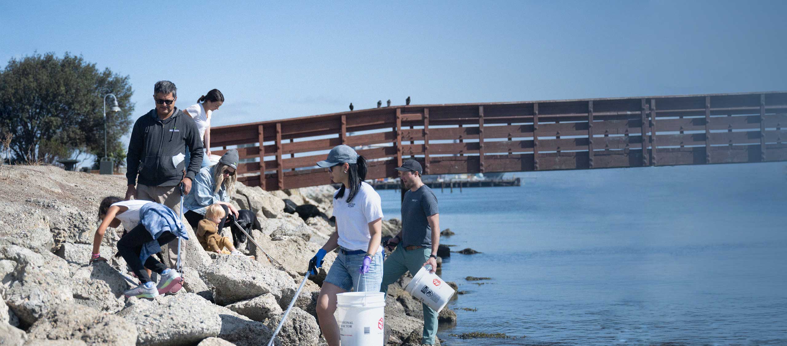 Group of People Cleaning Up Rocks Near Ocean