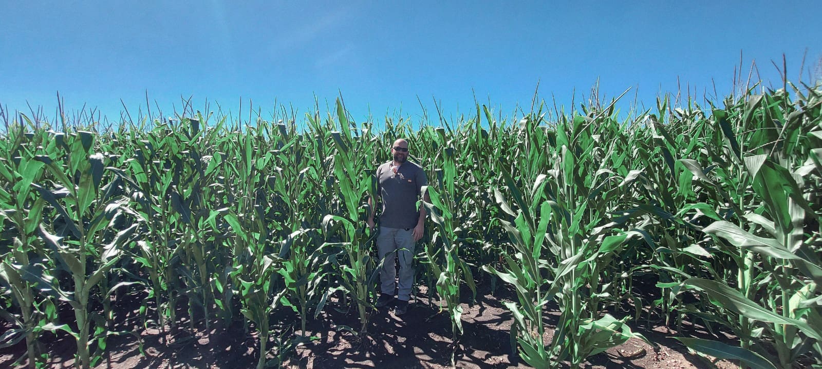 Joe Atkinson in Field