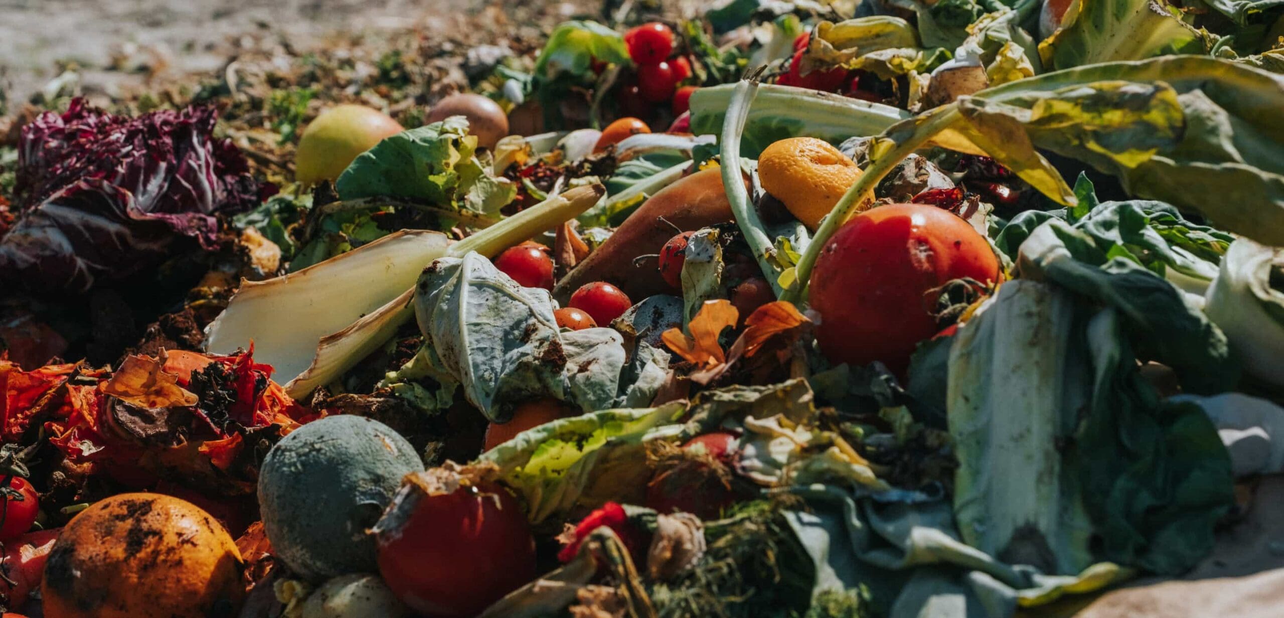 A large pile of food waste