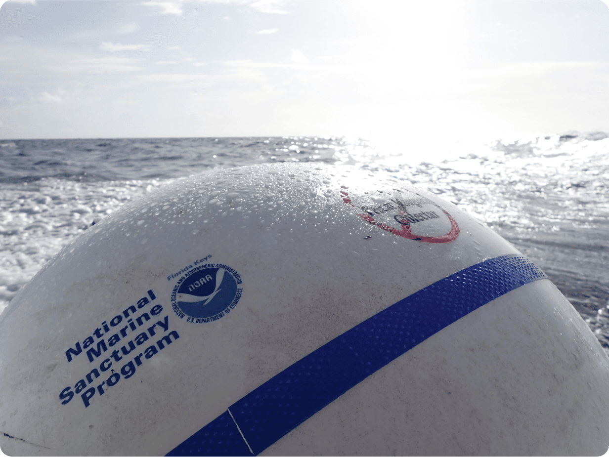 Buoy floating in the ocean with National Marine Sanctuary Programs logo