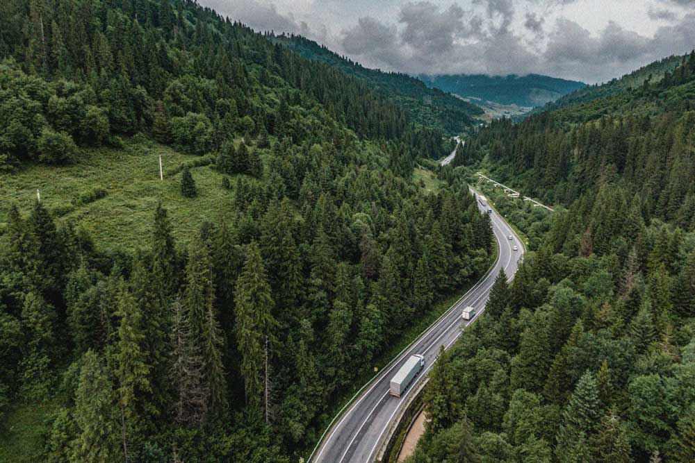 Arial view of cars driving down a long road between trees.