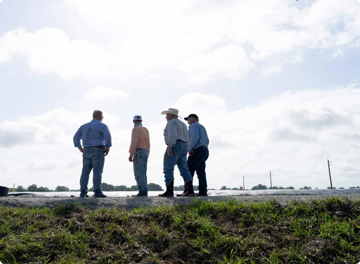 Four farmers looking off into the distance on a farm.