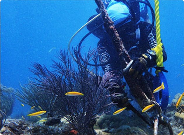 Diver under water using a rope for ocean conservation